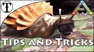 Fast Achatina Snail Taming Guide  Ark  Survival Evolved Tips and Tricks [upl. by Ocinemod]