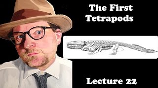 Lecture 22 The First Tetrapods [upl. by Nancee604]