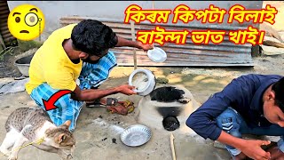 কিৰম কিপটা বিলাই বাইন্দা ভাত খাই । Bilai bainda bat khai ।viralvideo comedyvideo funnyvideo [upl. by Darell]