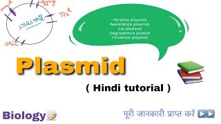 Plasmid in hindi ll biology ll [upl. by Aztinad232]