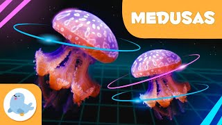 La medusa 👾 Animales para niños 🌊 Episodio 9 [upl. by Ennire363]