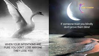 When Your Intentions Are Pure You Dont Lose Anyone They Lose You 😔  Positive Quotes About Life [upl. by Faulkner937]