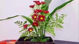 Ikebana International Chapter 42 Exhibit [upl. by Merlin101]