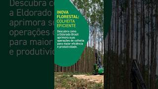 Inova Florestal Colheita Eficiente [upl. by Adnal]