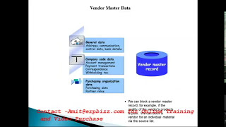 SAP MM Master Data Creation [upl. by Ennair]