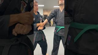 Skeletal Structure MartialArts KenpoKarate Showyourclip heightwidthdepth Learning [upl. by Joellen]