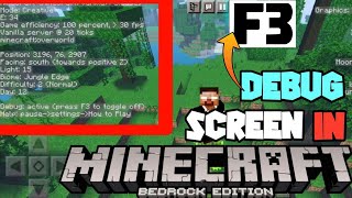 How to enable F3 button in Minecraft PE bedrock [upl. by Lister]