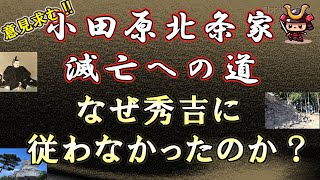 小田原北条家滅亡への道～なぜ秀吉に従わなかったのか？ [upl. by Atikihs116]