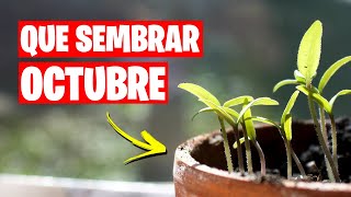 QUE SEMBRAR en OCTUBRE Calendario de Siembra  TAREAS  La Huerta de Ivan 🌱 [upl. by Annala]