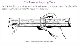 The Power of LogLog Plots [upl. by Hadias]