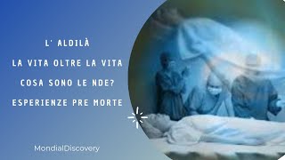 L Aldilà la vita oltre la vita  Cosa sono le NDE Esperienze Pre Morte [upl. by Atauqal762]