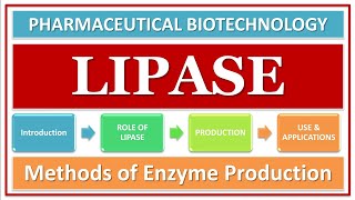 LIPASE ENZYME  ITS FUNCTION amp ROLE  PRODUCTION USING MICROBES  APPLICATIONS  BIOTECHNOLOGY [upl. by Kassi]