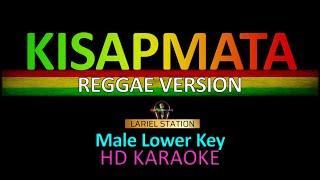 KISAPMATA REGGAE KARAOKE  Male Lower Key [upl. by Akcimahs300]