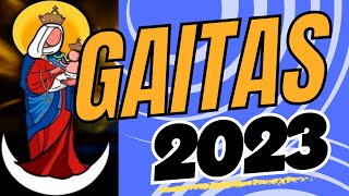 GAITAS 2023  NOCHES DE MARACAIBO  PROFESIONALES DE LA GAITA  EL GAITERO DE A PIE [upl. by Dredi582]