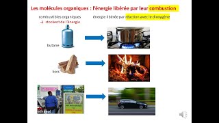 1ère spé Energie de combustion le cours [upl. by Edivad]