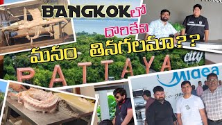 Bangkok లో దొరికేవి మనం తినగలమా  pattaya bangkok thailand travel telugu [upl. by Elsworth41]