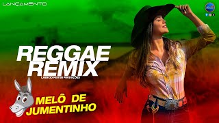 MELÔ DE JUMENTINHO  VERSÃO REGGAE REMIX GiCantor LaercioMisterProducoes [upl. by Nevart]