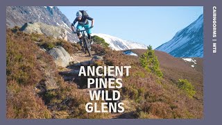 MTB Tour  Ancient Pines Wild Glens  Cairngorms Scotland [upl. by Torrey720]