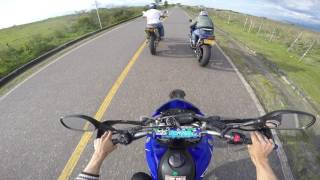 duke 390 vs DTs carrerudas vs xt660 vs yamaha r6r vs gsr600 drag racing [upl. by Aneelad]