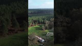 Dans les Landes les Chapons Fermiers des Landes sont élevés en liberté dans la forêt [upl. by Kano]