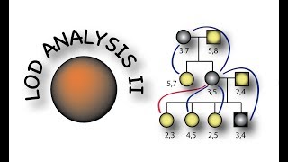 LOD mapping with pedigrees part II [upl. by Harms]