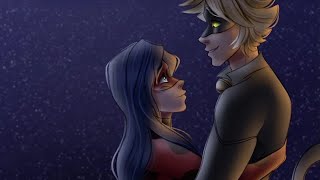 Kuro Neko Comic  Miraculous Ladybug Comic Dub [upl. by Marfe]