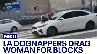 LA dognappers drag woman for blocks with car dog still not found [upl. by Eitten998]