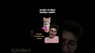 Kedi Cabbar [upl. by Ensoll]