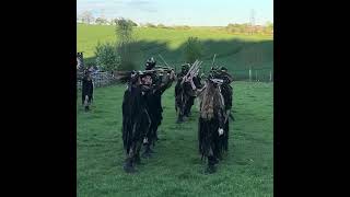 Beltane Border Morris  Beltain Butser Ancient Farm  May 4th 2024 [upl. by Laney]