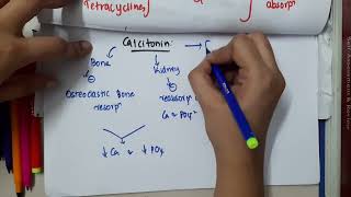 calcitonin  pharmacology [upl. by Hareemas]