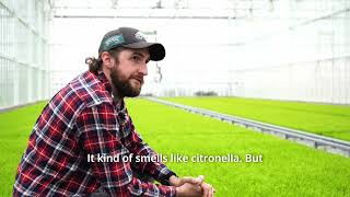 Product Spotlight Cupressus Plugs with Chris [upl. by Cuhp]