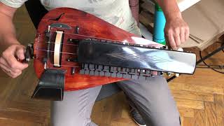 HurdyGurdy  Model Elephant with wooden tangents  Handmade Gurdy [upl. by Ahsratan]