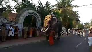 Elephant Attack Crowd  Padmanabha Swamy Temple [upl. by Obala]