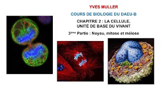 Chapitre 2 – 3ème Partie  Noyau mitose et méiose  Cours de Biologie du DAEUB [upl. by Bridwell]