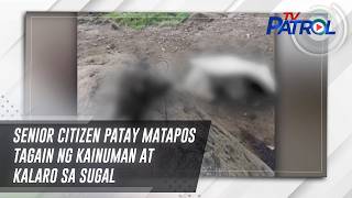 Senior citizen patay matapos tagain ng kainuman at kalaro sa sugal  TV Patrol [upl. by Nuawd]