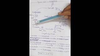 78 Krebs cycle TCA cycle biology pharmacy chemistry neet study ncert pharm science [upl. by Juditha]