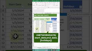 How to Calculate Working Days in Excel  NETWORKDAYS function excel excelshorts exceltips [upl. by Emanuela]