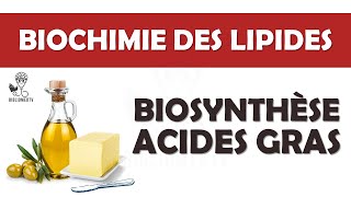 Biochimie des Lipides  Biosynthèse des acides gras [upl. by Devad]