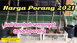 HARGA PORANG 2021 [upl. by Keg]