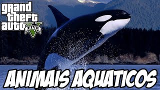 GTA V  COMO VIRAR BALEIA TUBARÃO ARRAIA E GOLFINHO EASTER EGG INCRÍVEL [upl. by Viking]