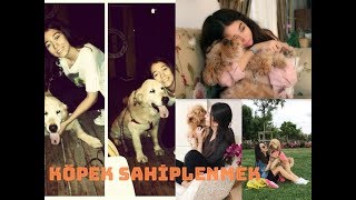 KÖPEK SAHİPLENMEK  Bakımı Uyuz Tedavisi Tuvalet Pati Temizliği [upl. by Doowrehs494]