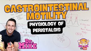 Motility of the Gastrointestinal Tract  Peristalsis Physiology [upl. by Inalaeham]