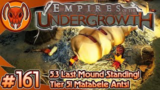 Tier 5 Matabele Ants 53 Last Mound Standing  Empires of the Undergrowth  Part 161 [upl. by Irrem604]