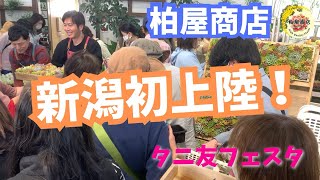 柏屋商店新潟発上陸！タニ友フェスタでいくとぴあ食花に行ったよ！【多肉植物】【ガーデニング】 [upl. by Lien116]