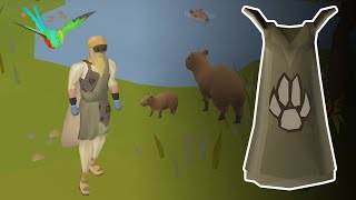 99 Hunter in Old School RuneScape [upl. by Garald290]