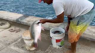 古巴旅游，在古巴Varadero海边看当地人钓鱼 Cuba Travel Watch Local Fishing [upl. by Eelanaj]