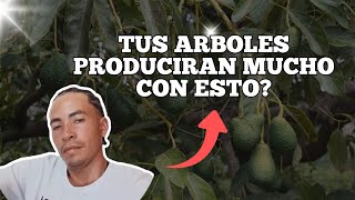 ANALISIS DE SUELO EN TU CULTIVO  TUS ÁRBOLES TE LO AGRADECERAN CON MUCHOS FRUTOS [upl. by Fitzsimmons]