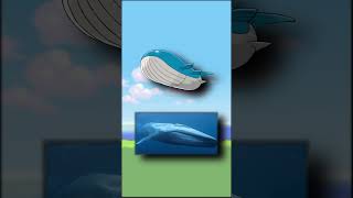 WTF is Wailord  EVERY Pokémon Design Explained pokemon pokemontcg pokemonshorts [upl. by Milt]