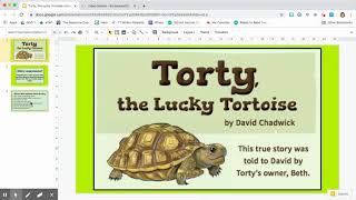 Torty the Lucky Tortoise Comprehension Pt2 [upl. by Iatnohs]