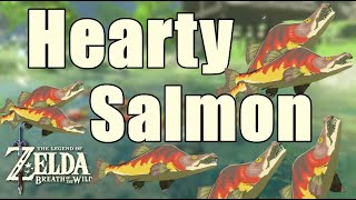 Hearty Salmon Zelda Breath of The Wild [upl. by Assirrak]